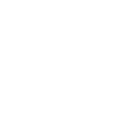 Prospect logo white