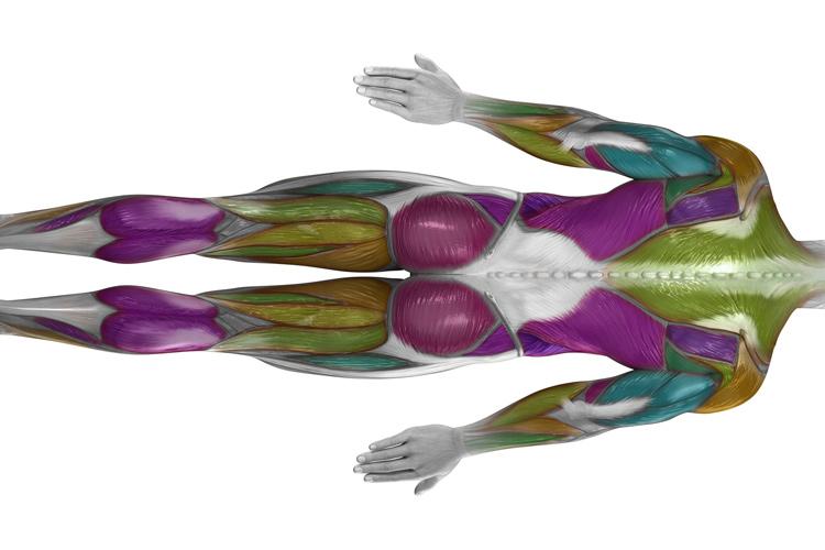 Body mapping
